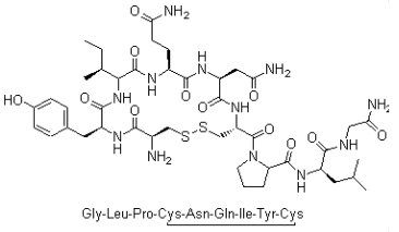 Oxytocin